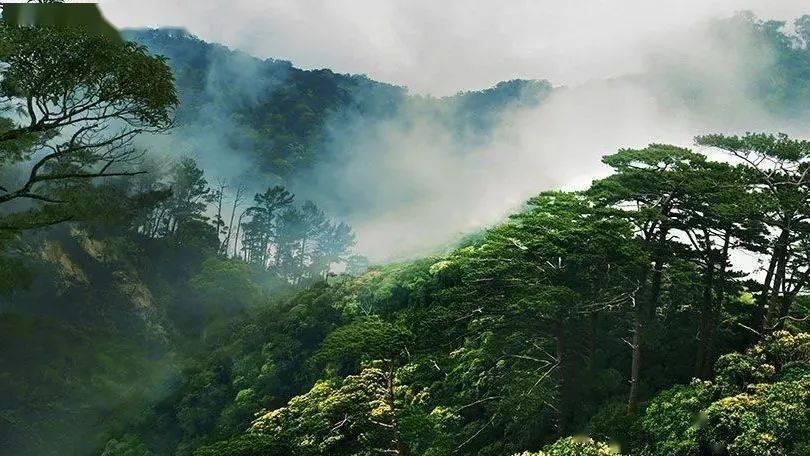 靖难之役:大明帝国的“二次革命”,地方逆袭中央的经典战例